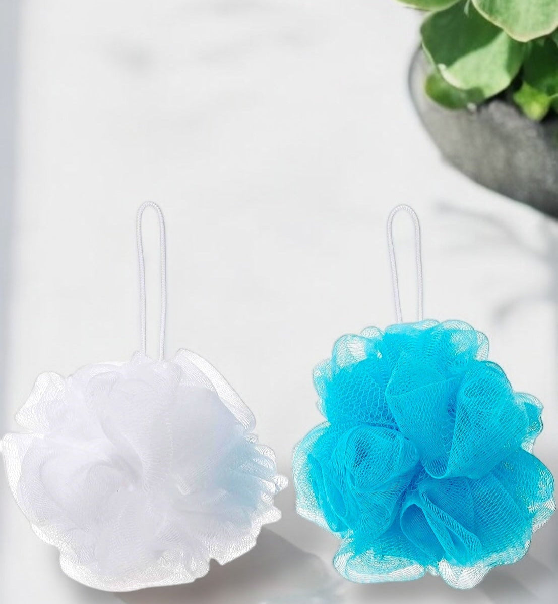 Bath Sponge (Set of 3)