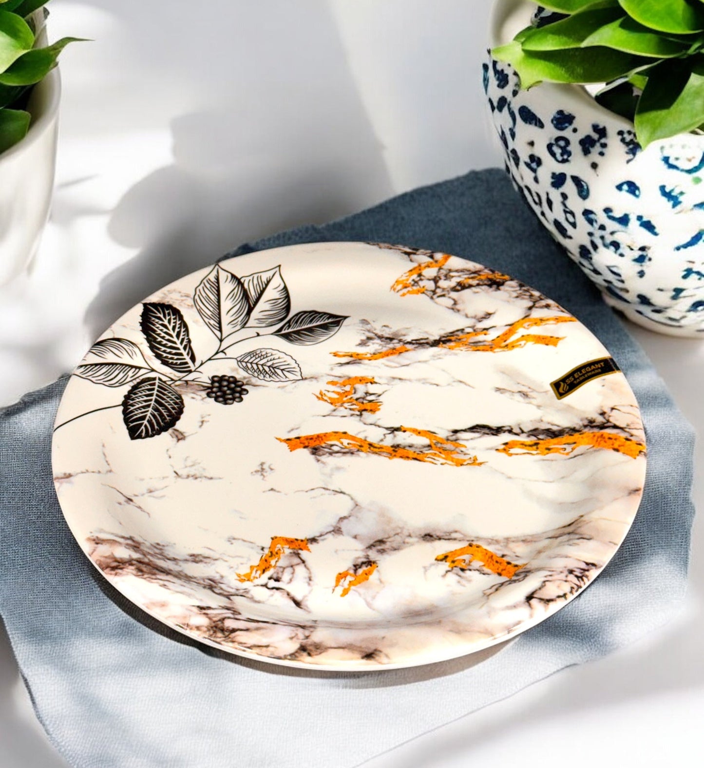 Ceramic Dinner Plates ( Set of 2)