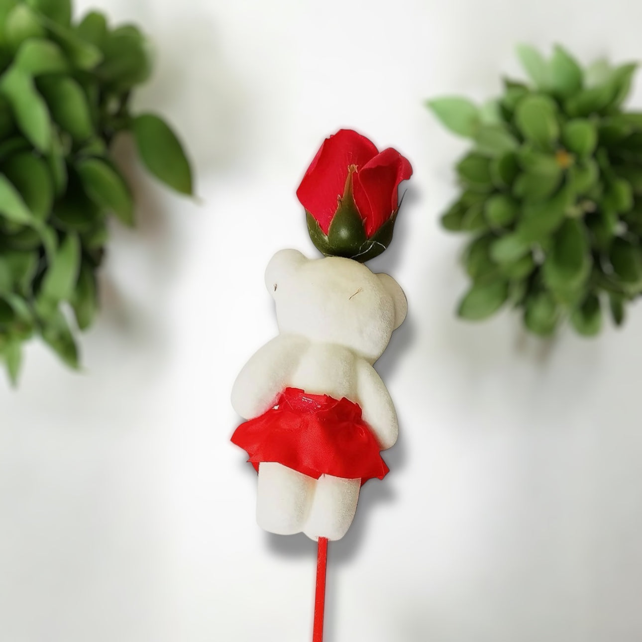 Rose with Teddy