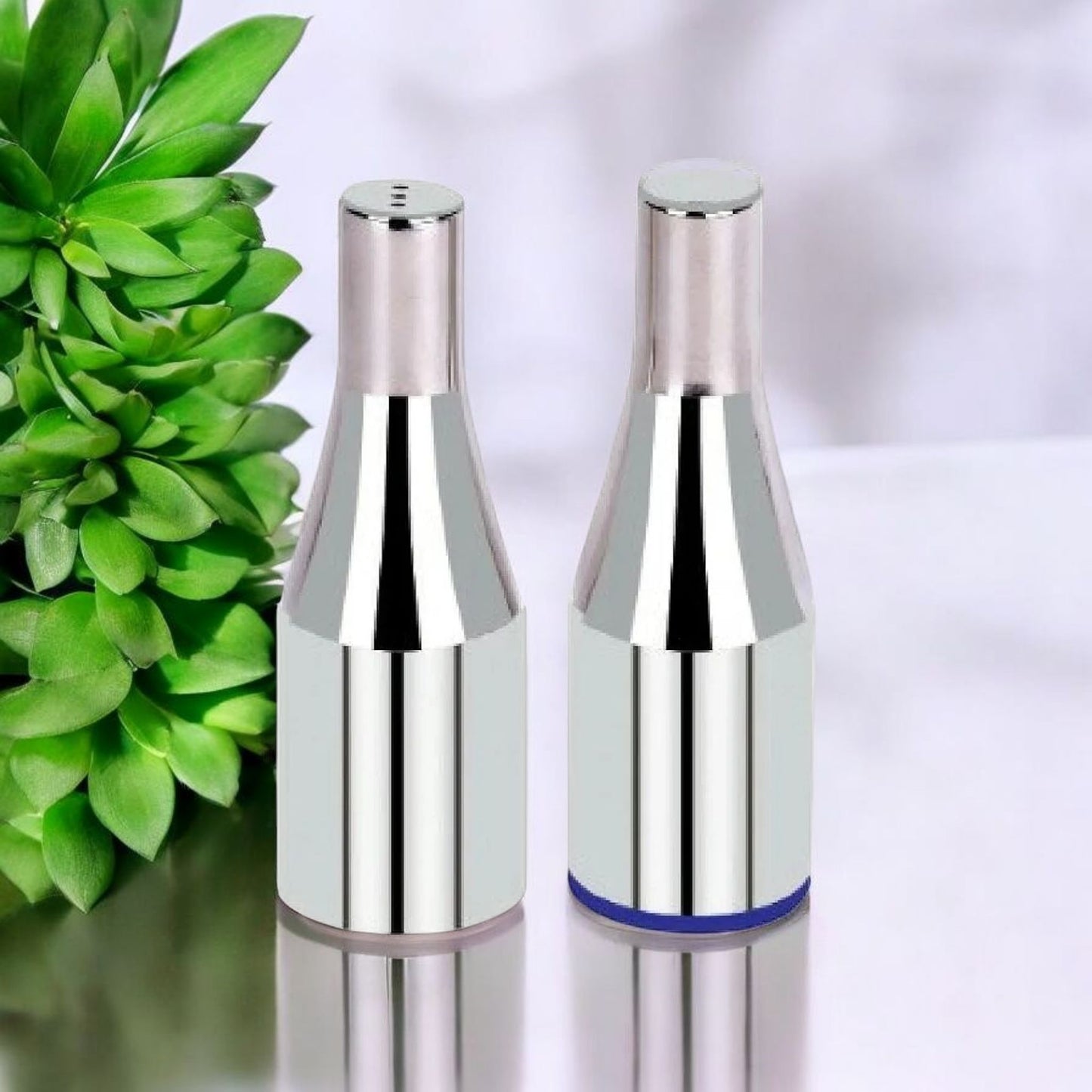 Stainless Steel Spice Shakers