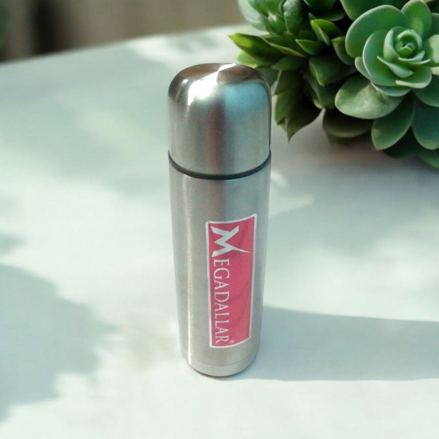 Stainless Steel Vacuum Flask Bottle 500ml