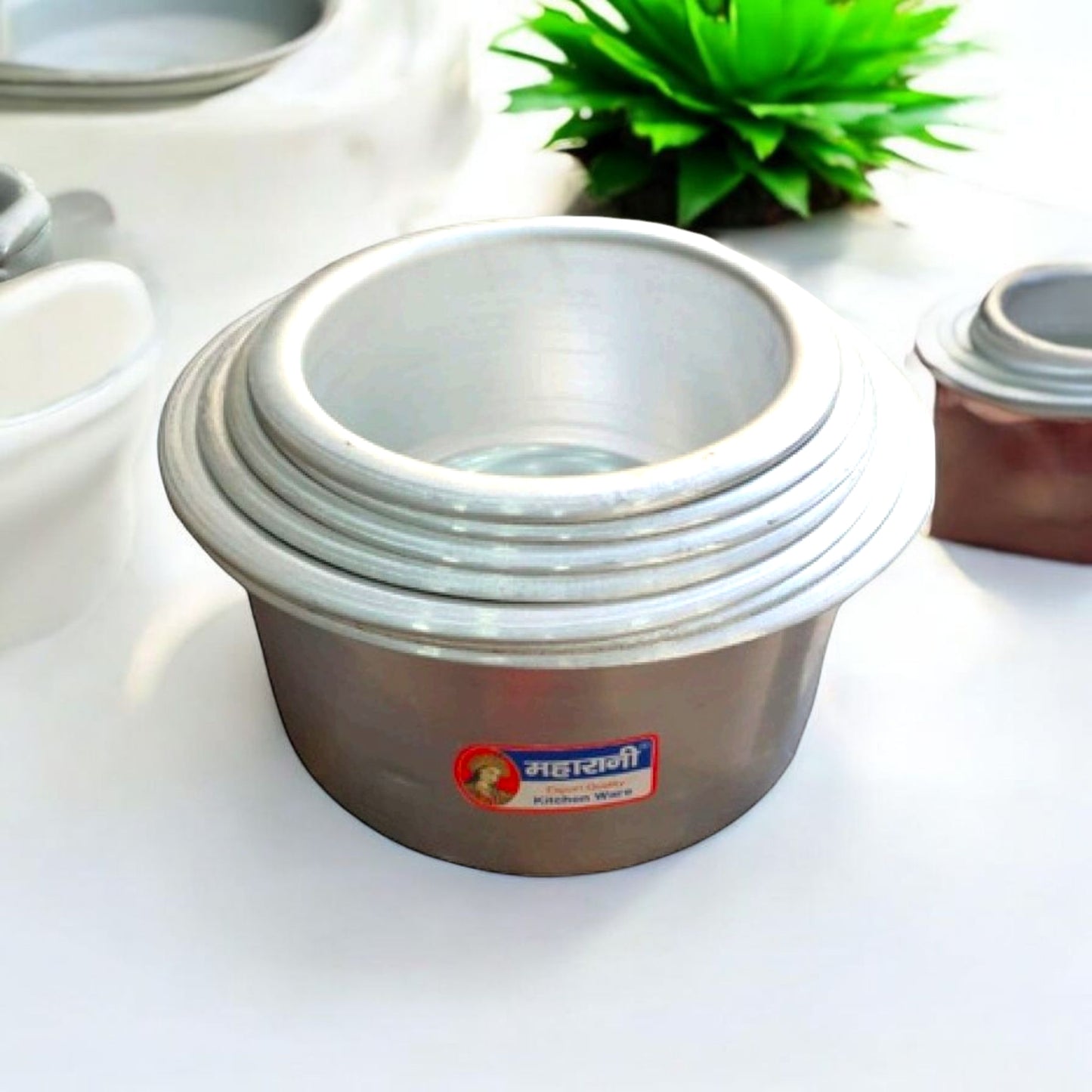 Multi-Purpose Kitchen Storage Container