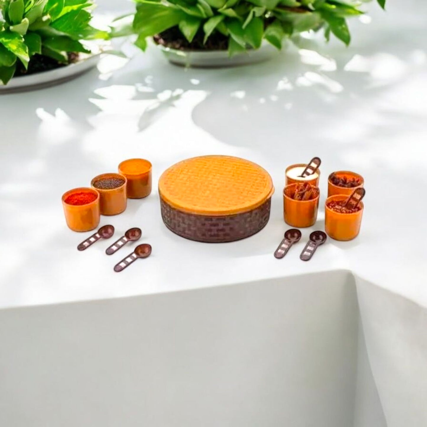 Round Masala Box with 7 Containers