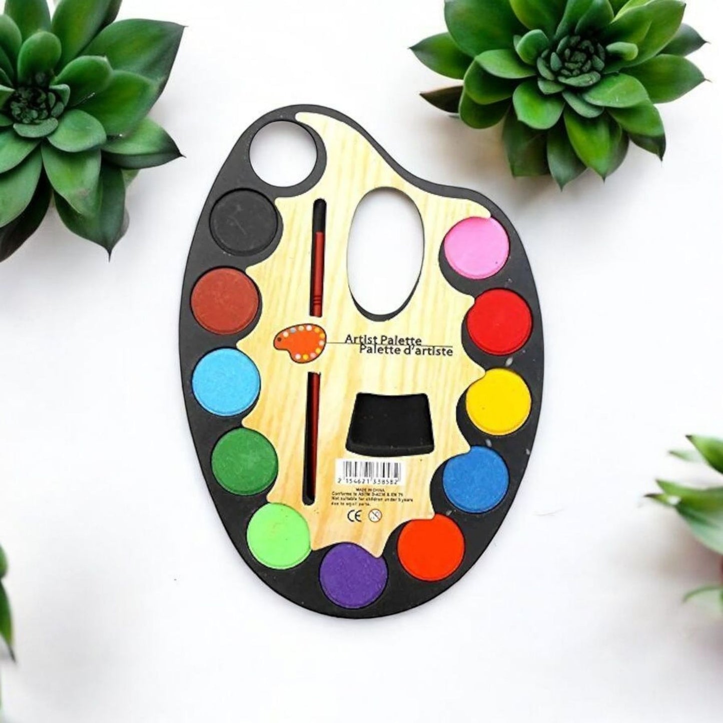 Palette Color Set 12 + Paint Brush
