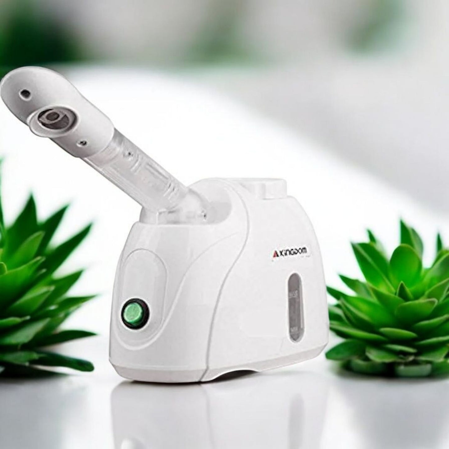 Home Facial Steamer for Glowing Skin