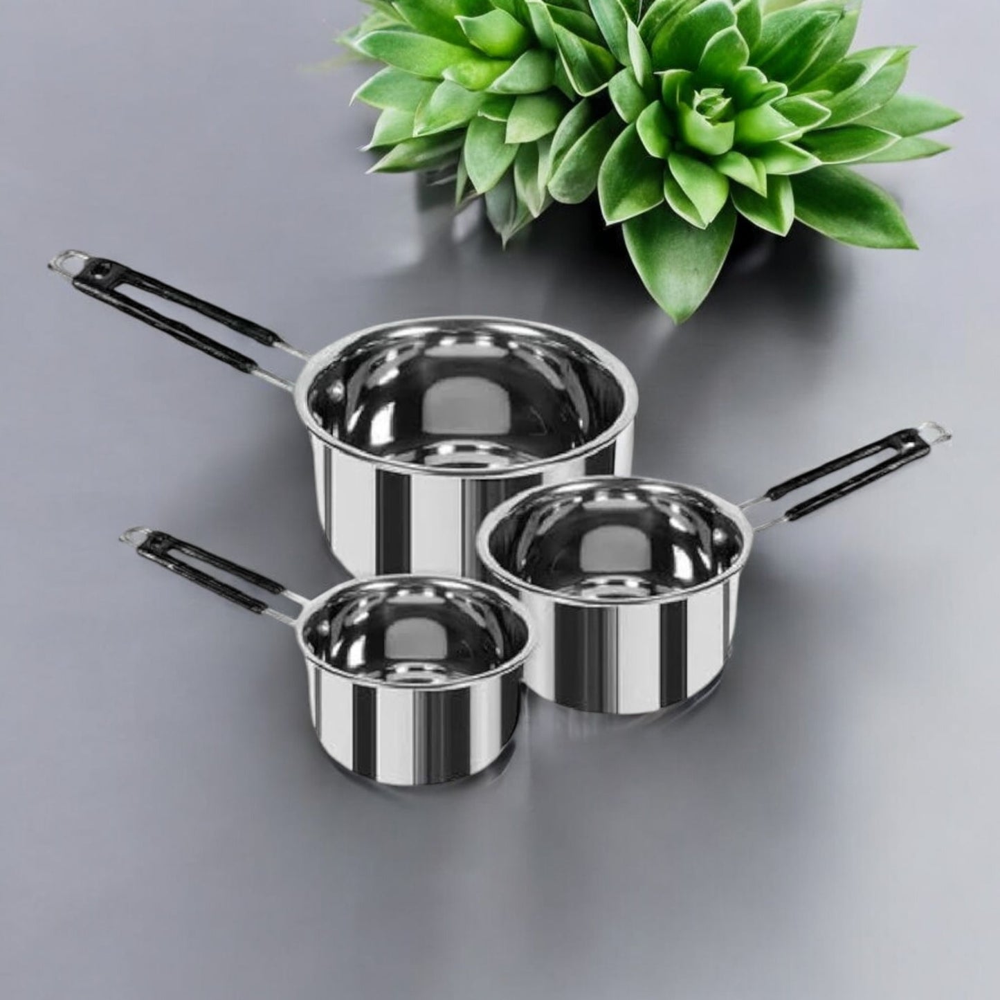 Stainless Steel Saucepan with Handle