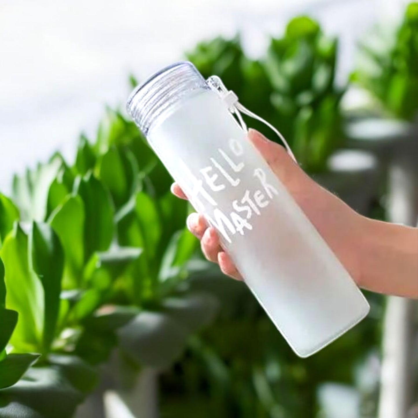 Frosted Hello Master Bottle 500ml