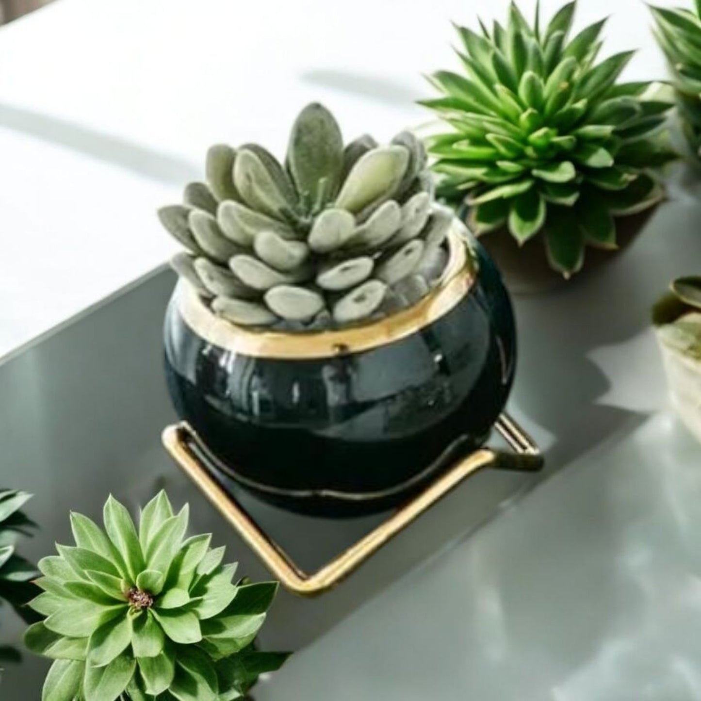 Elegant Black Planter with Gold Stand