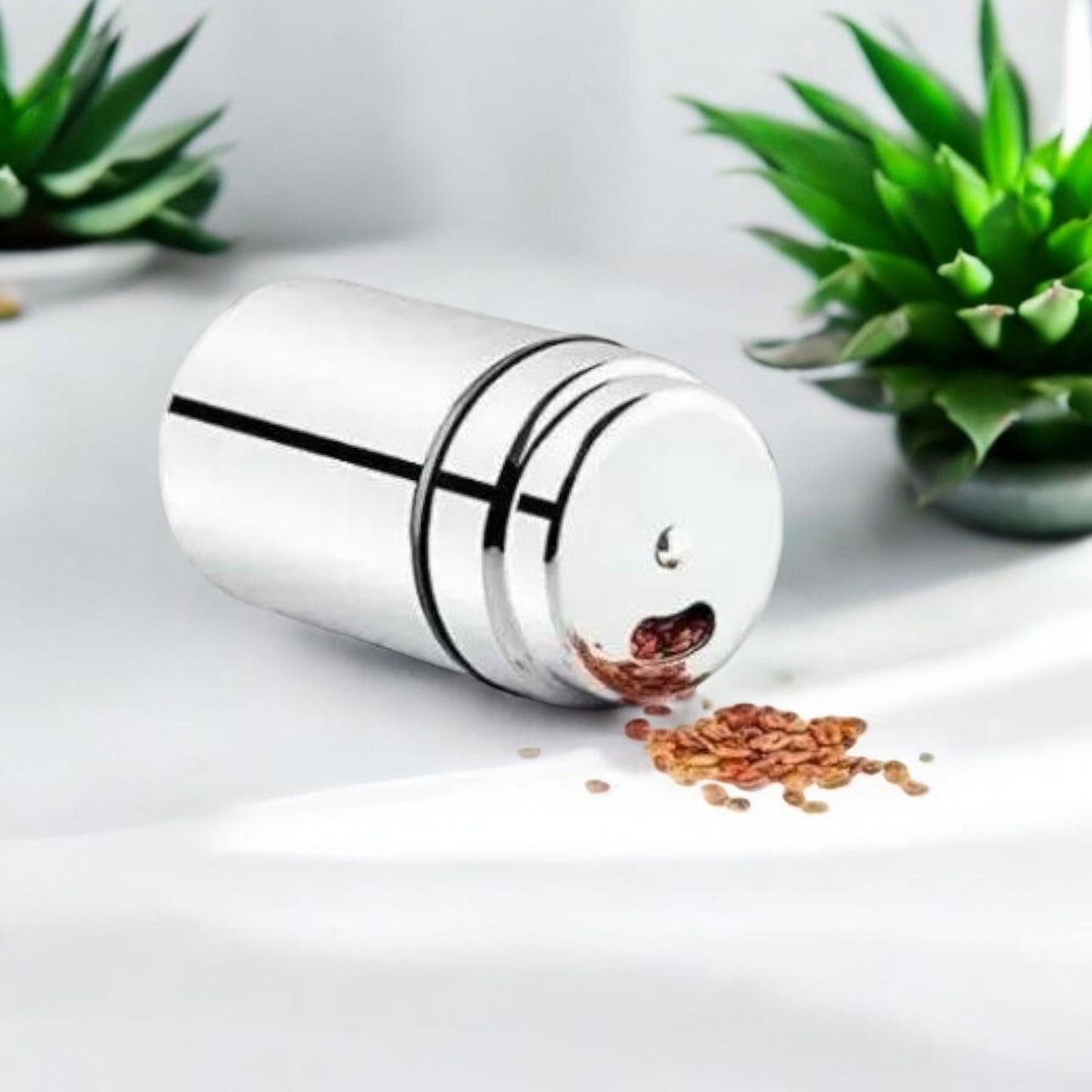 Stainless Steel Dual-Outlet Spice Dispenser