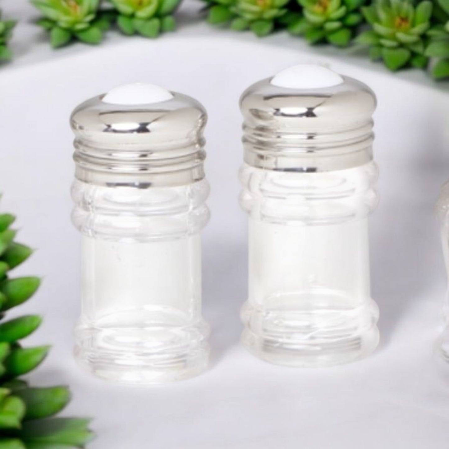 Transparent Glass Spice Shakers