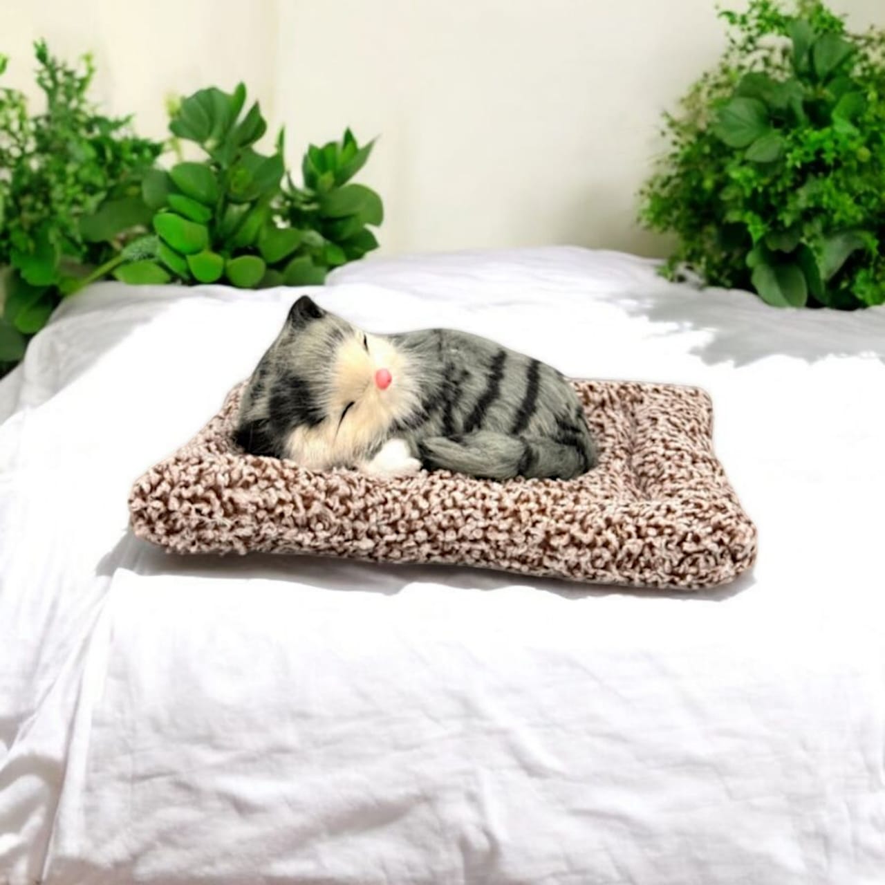 Cute Sleeping Cat Decor