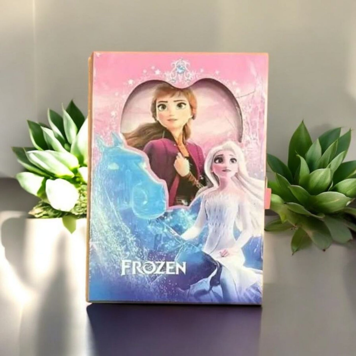 Frozen Character Nootebook With Box