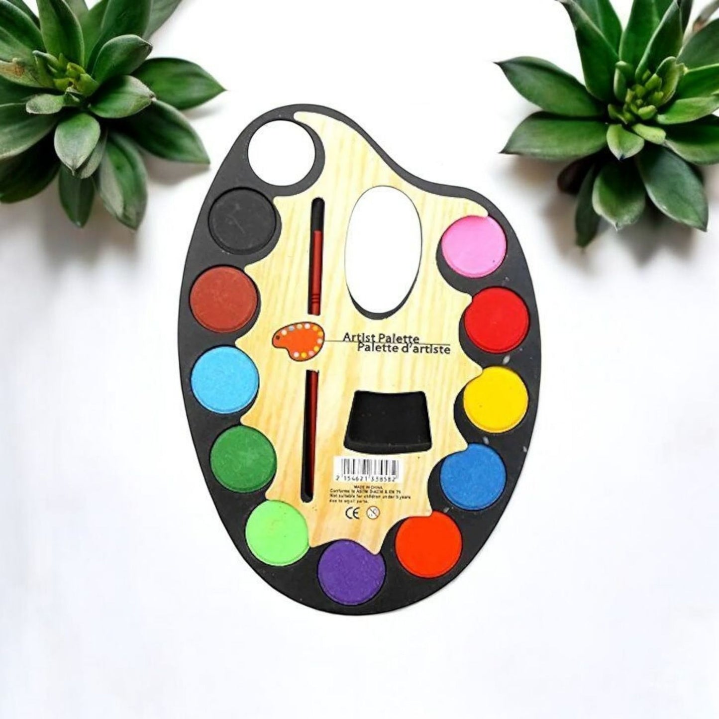 Palette Color Set 12 + Paint Brush