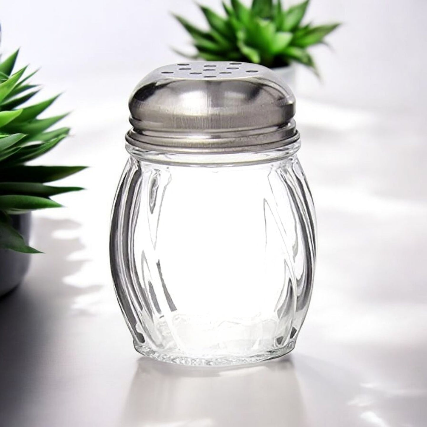 Glass Spice Shaker Set