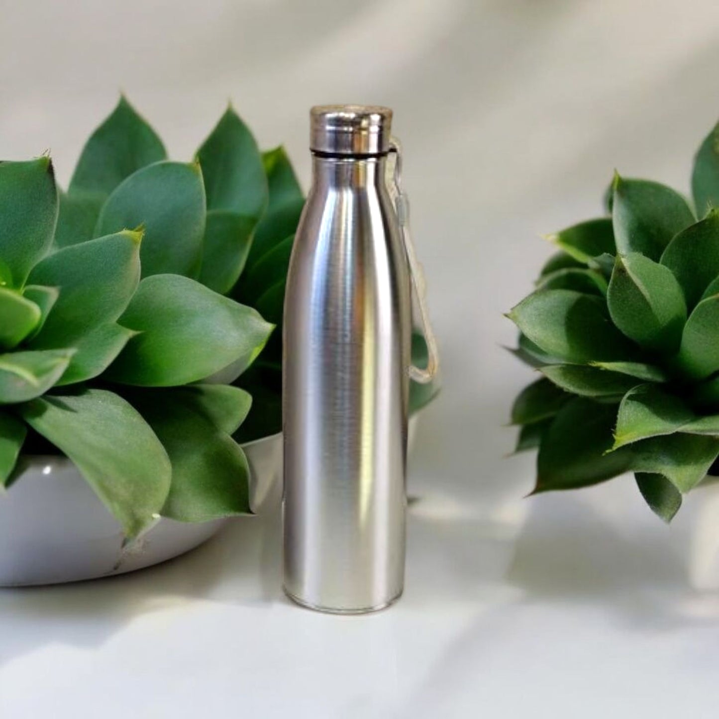 Stainless Steel Water Bottle 750ml