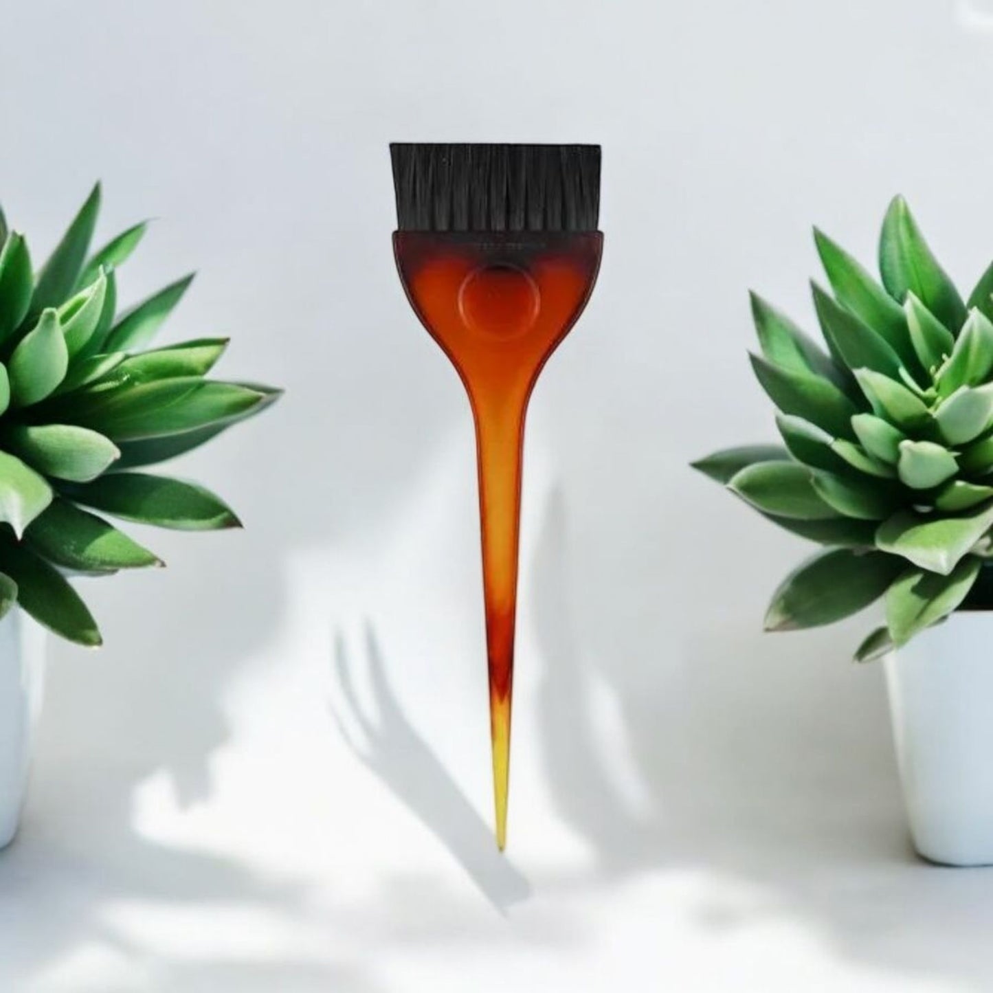 Hair Dye Brush