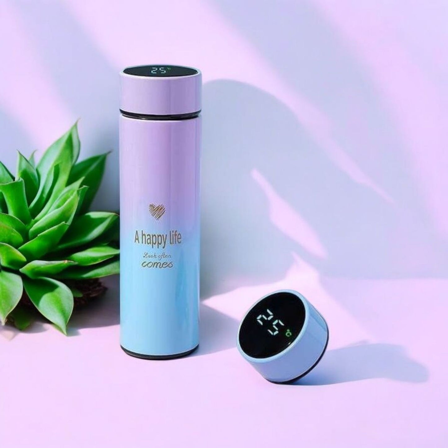 Gradient Smart Temperature Display Bottle 500ml