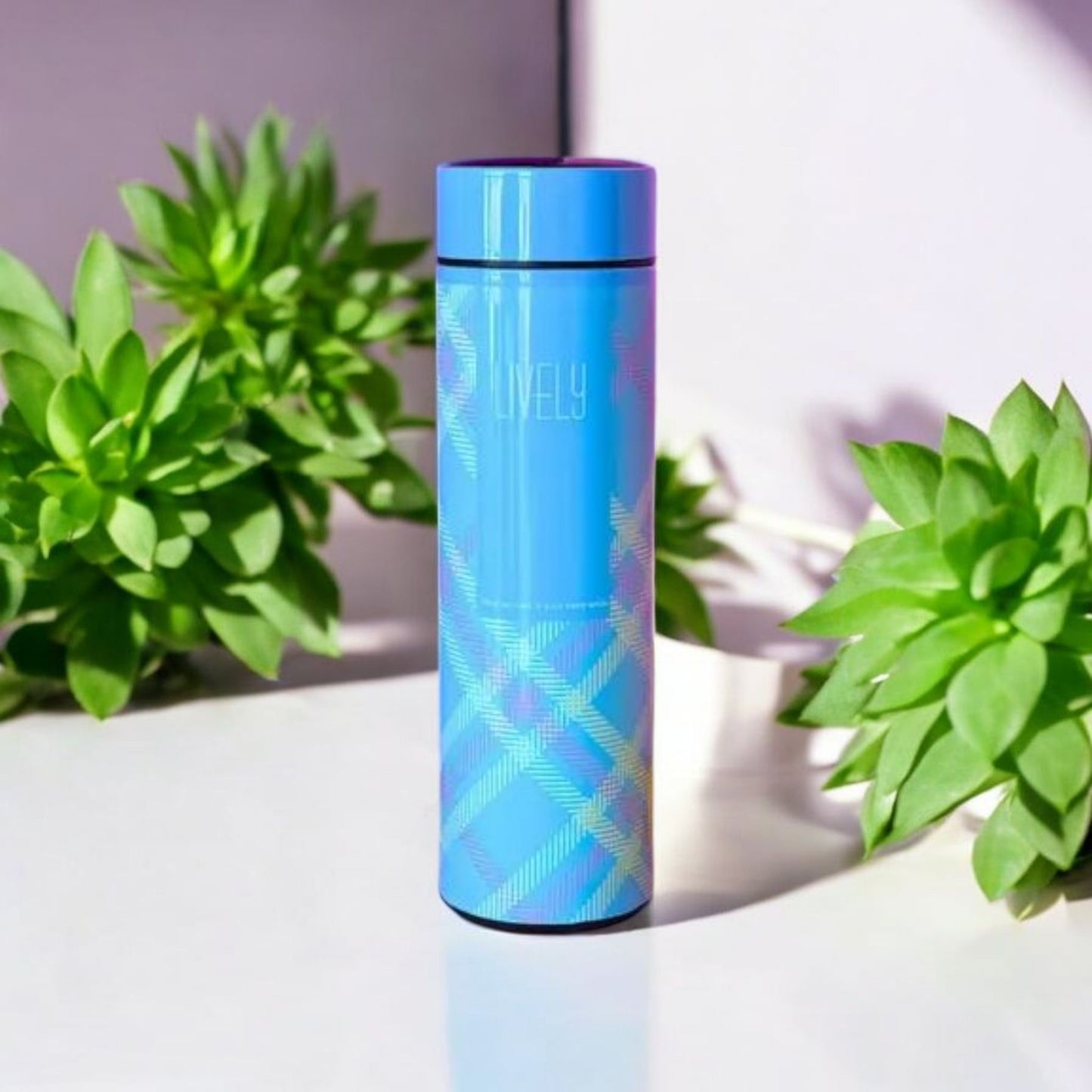 Insulated Water Bottles 500ml
