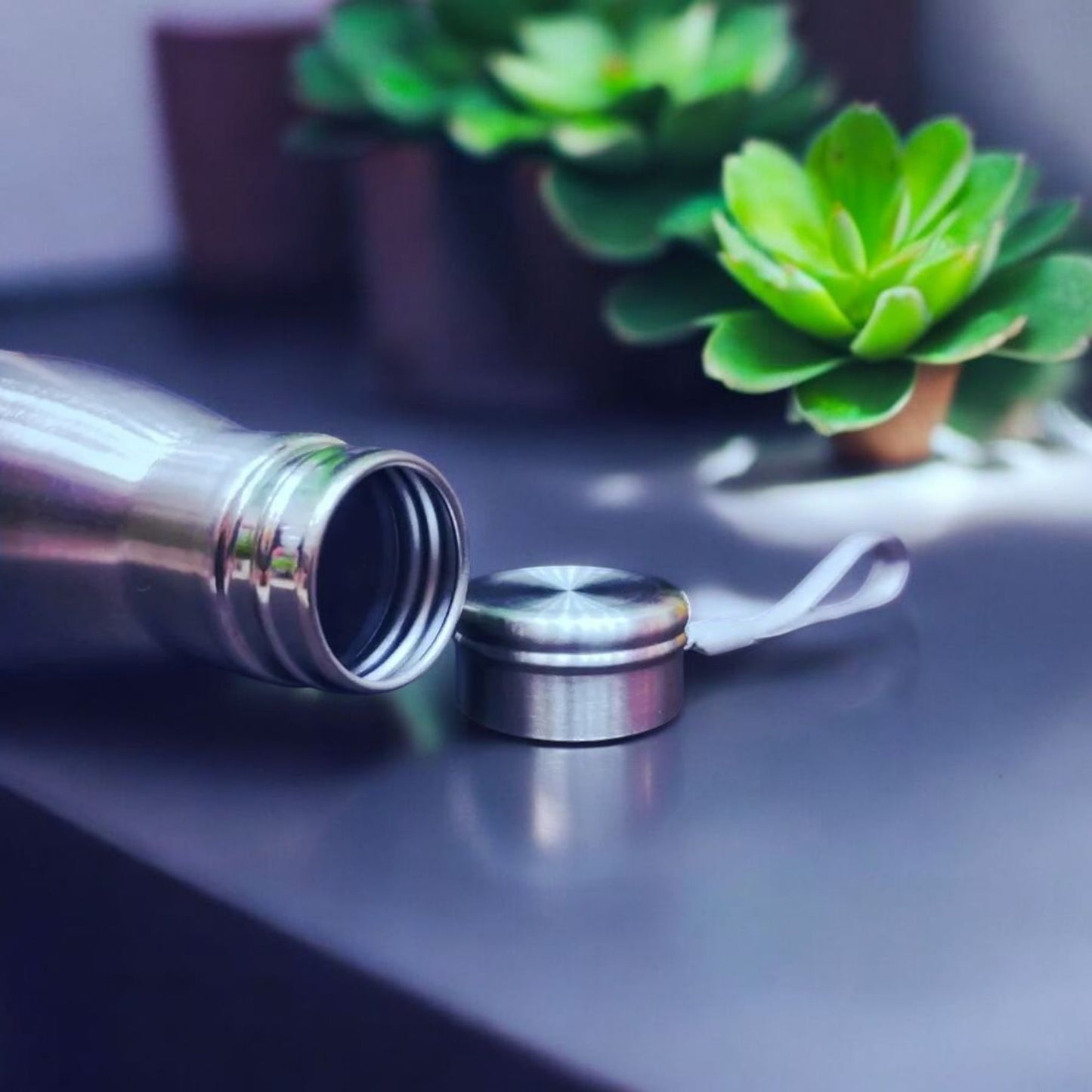 Stainless Steel Water Bottle 750ml