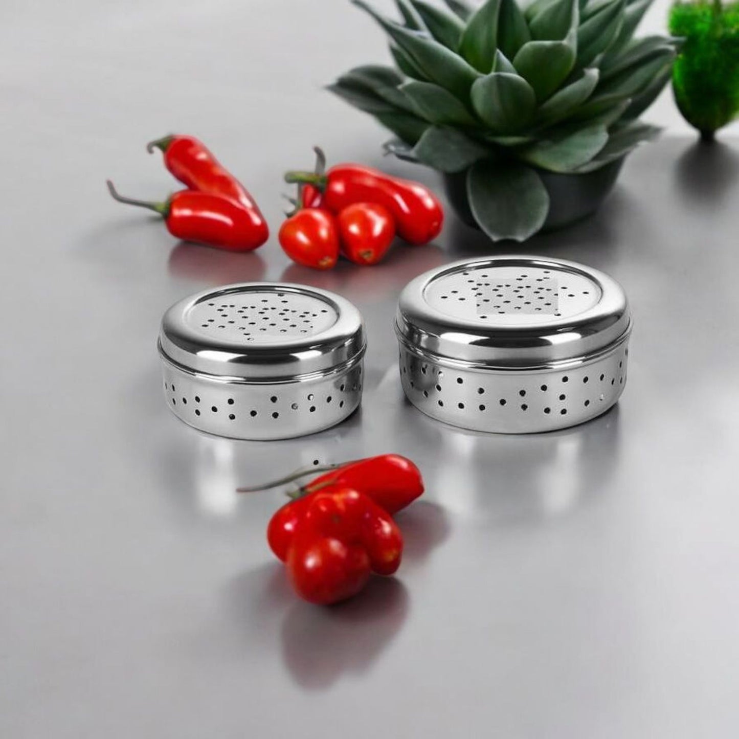Stainless Steel Container