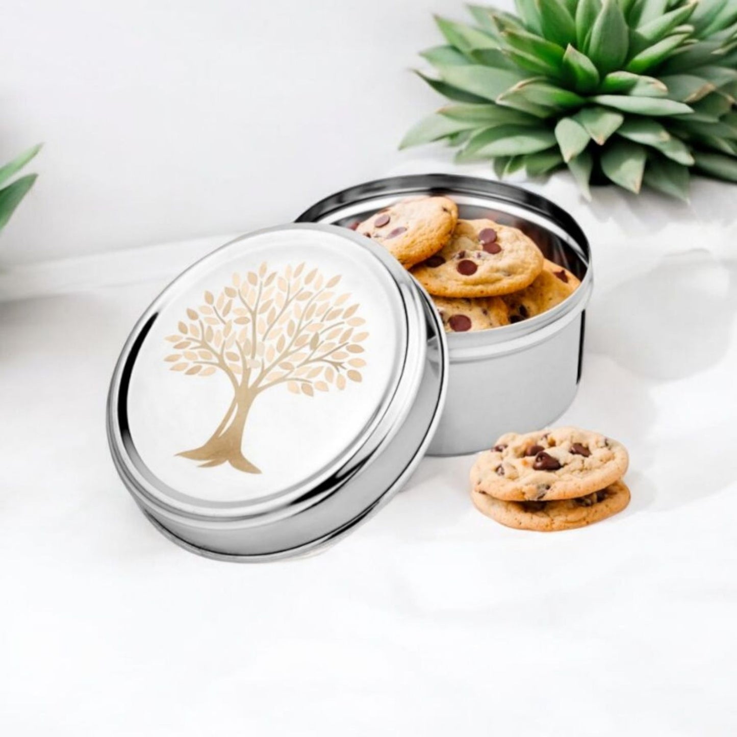 Stainless Steel Storage Containers
