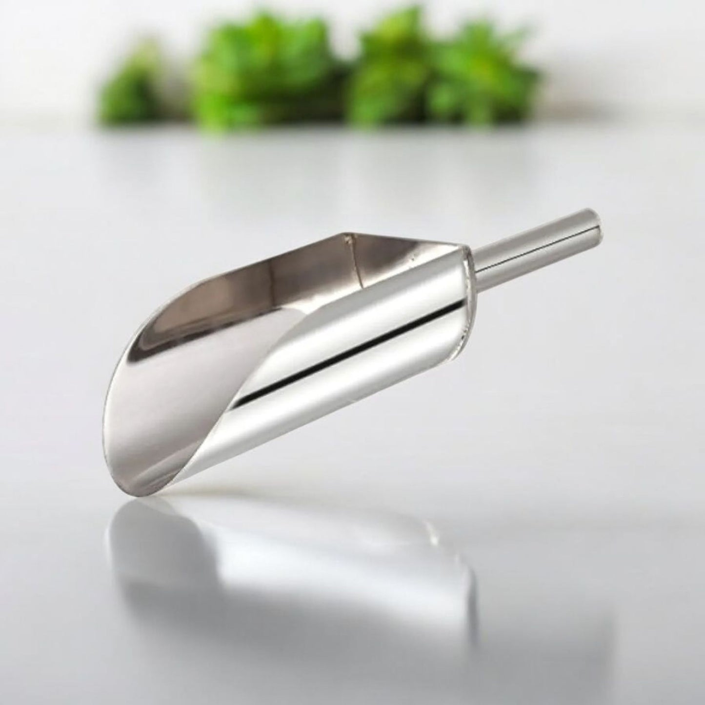 Stainless Steel Scoop