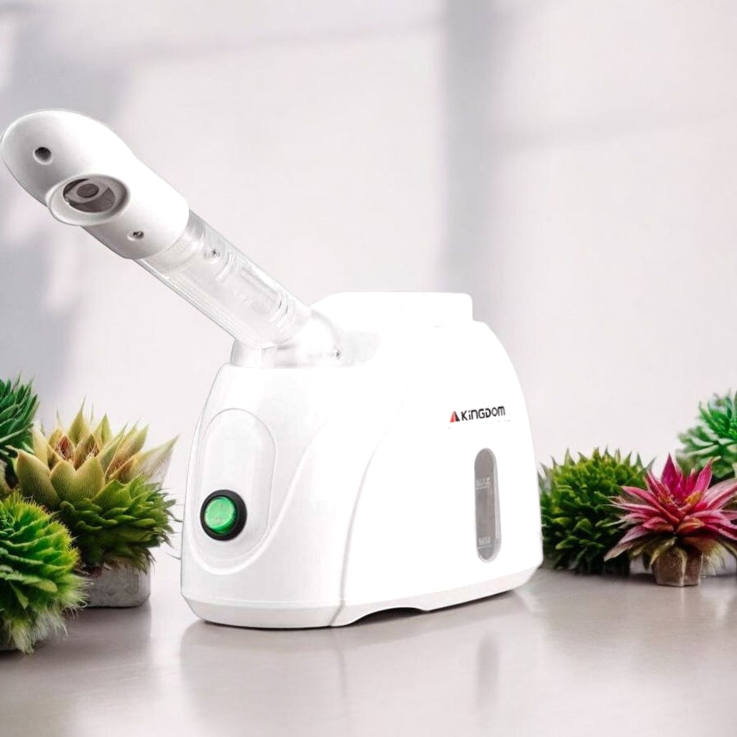 Home Facial Steamer for Glowing Skin