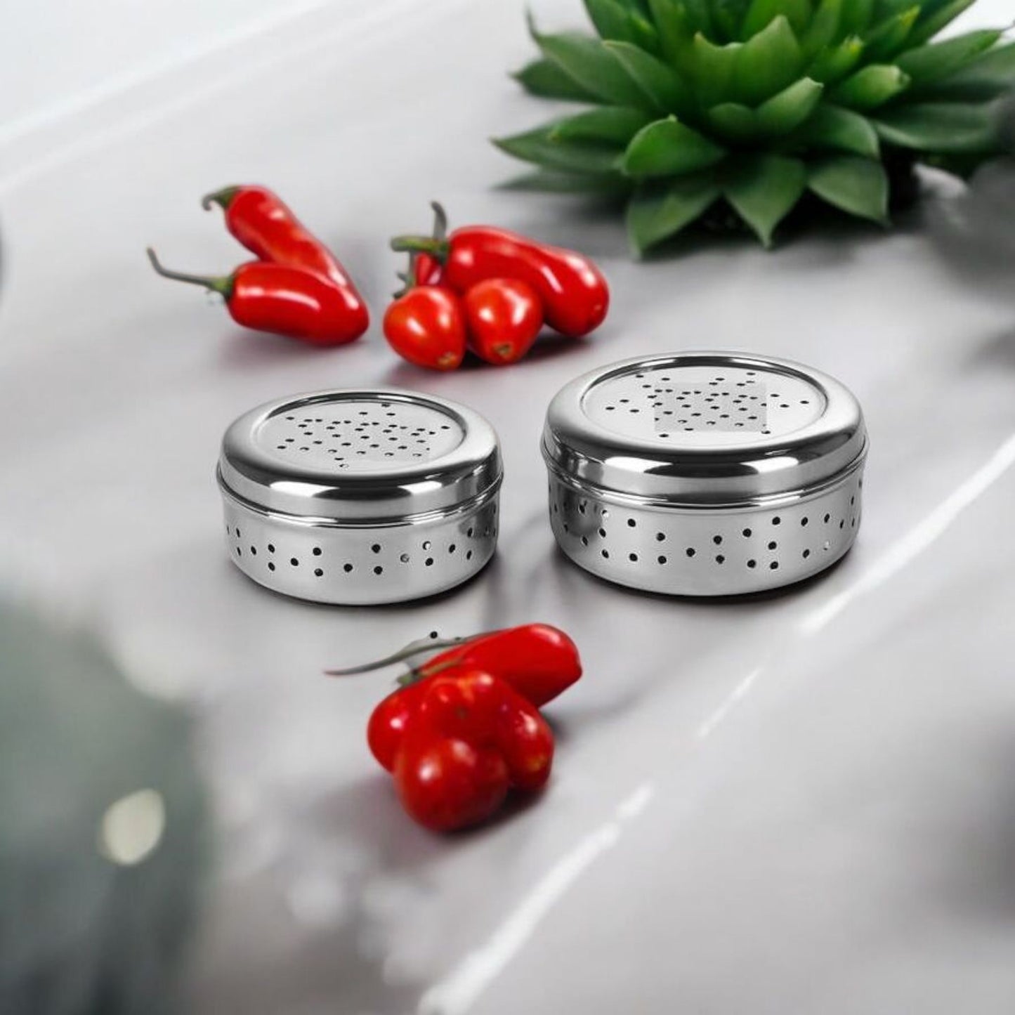 Stainless Steel Container
