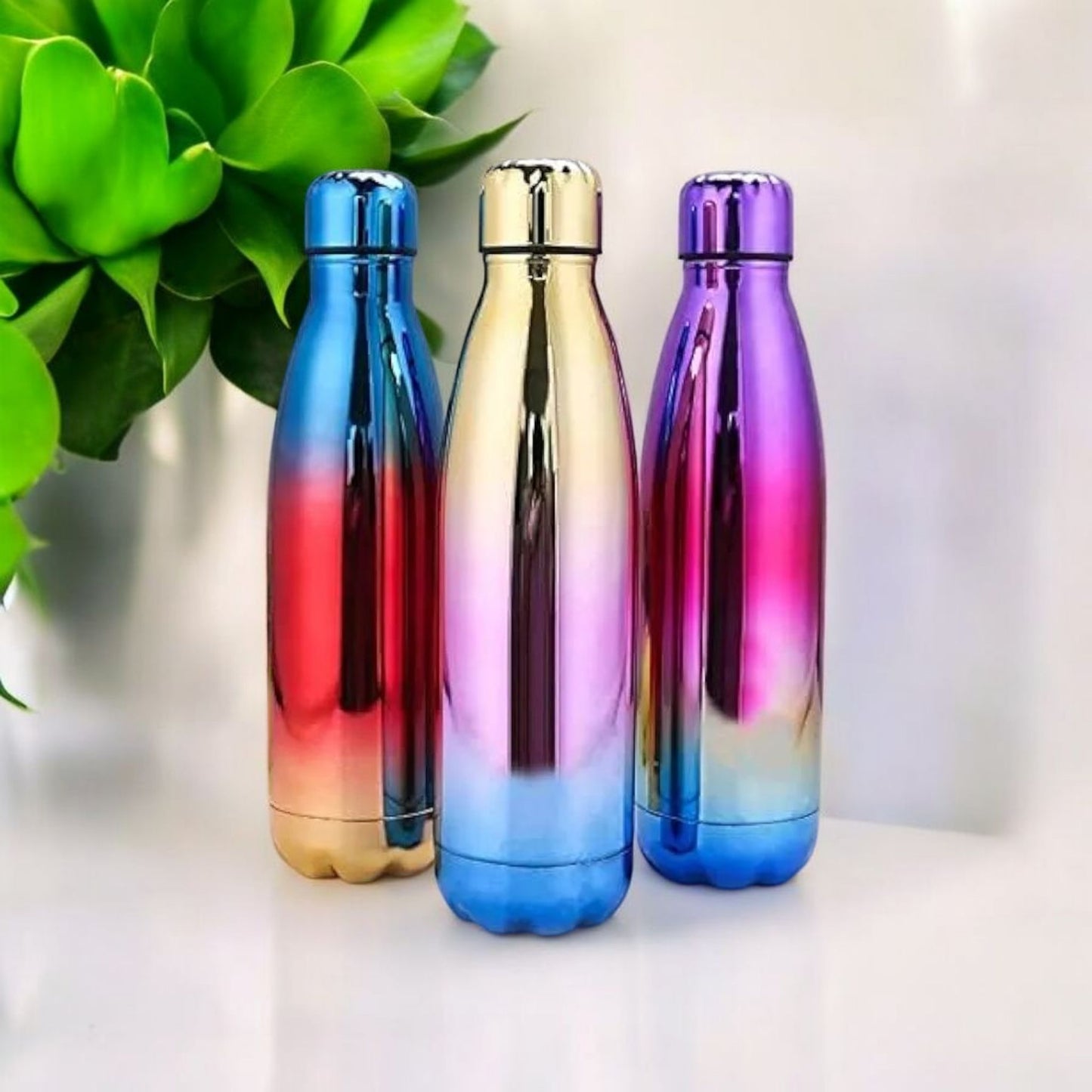 Luxury Gradient Stainless Steel Bottle 500ml