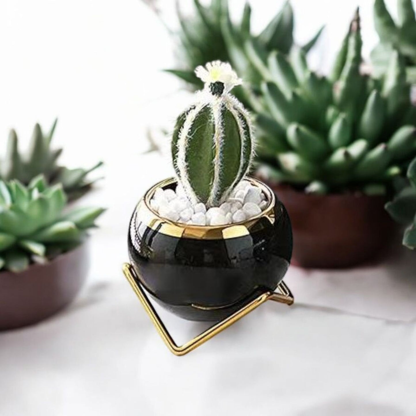 Elegant Black Planter with Gold Stand