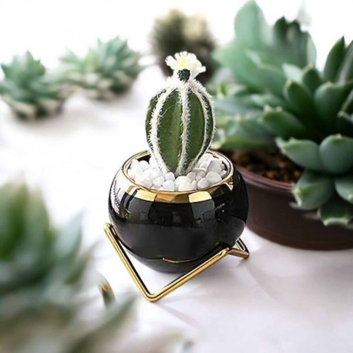 Elegant Black Planter with Gold Stand