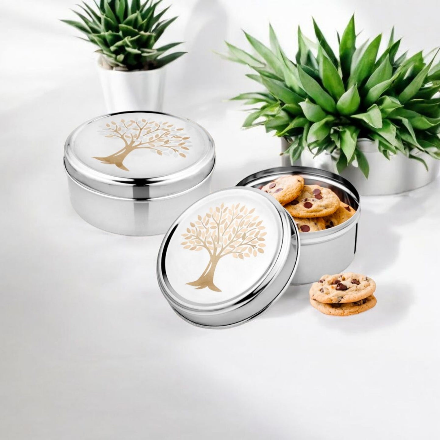 Stainless Steel Storage Containers