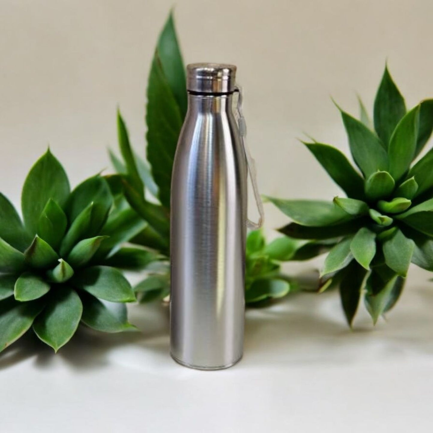 Stainless Steel Water Bottle 750ml