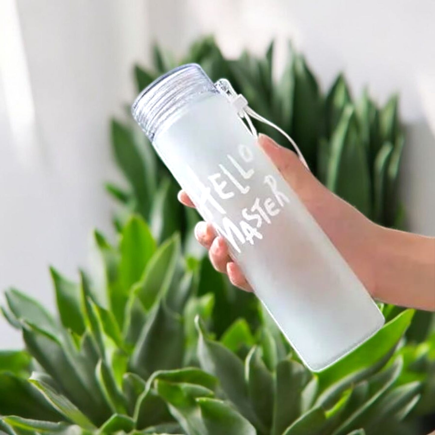 Frosted Hello Master Bottle 500ml