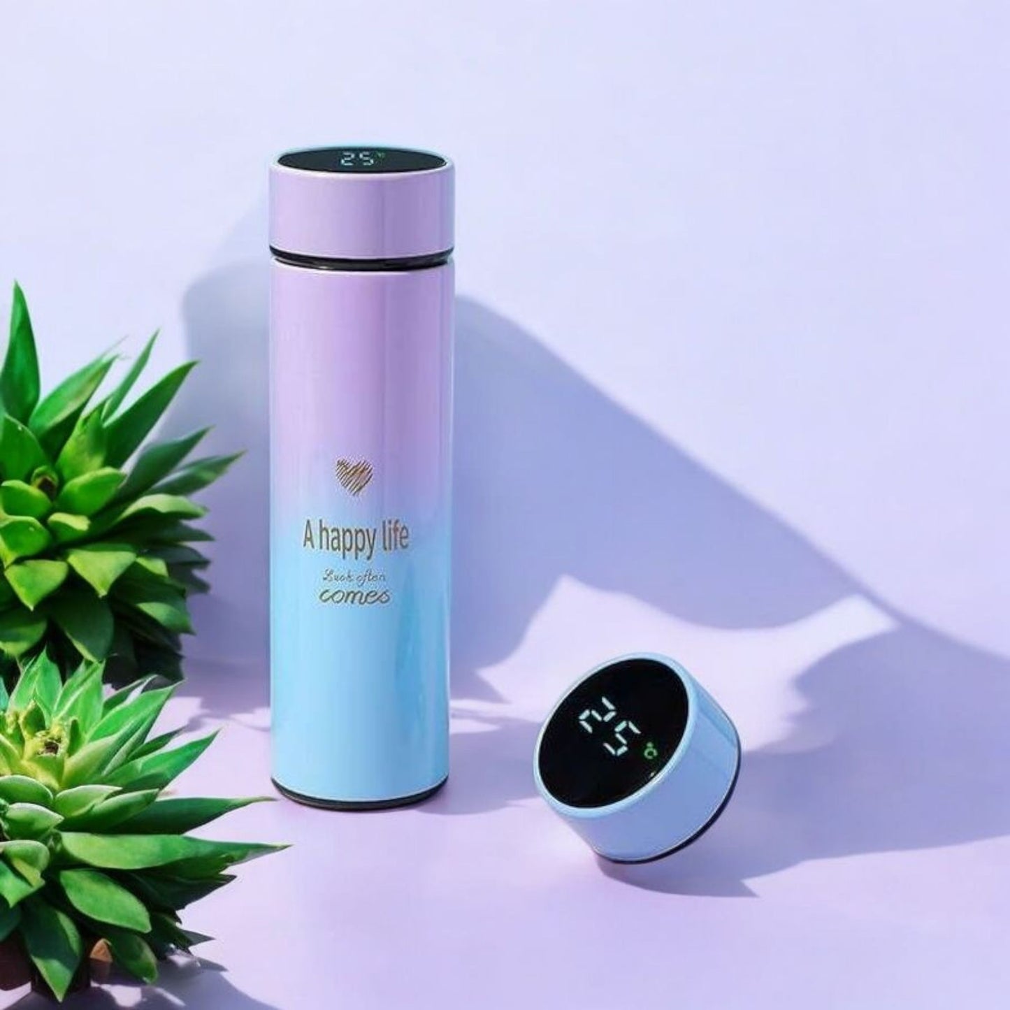 Gradient Smart Temperature Display Bottle 500ml