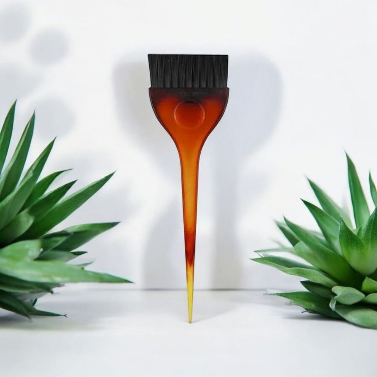 Hair Dye Brush