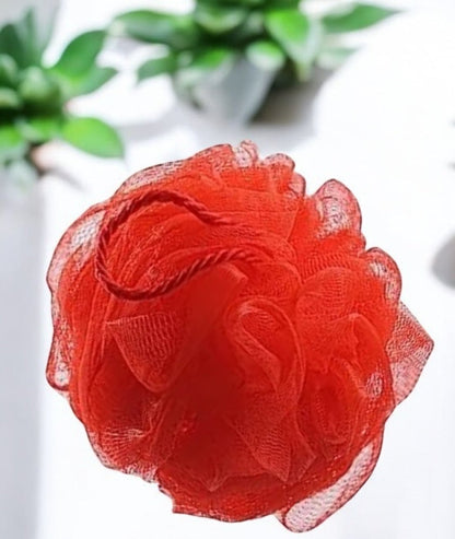Bath Sponge (Set of 3)