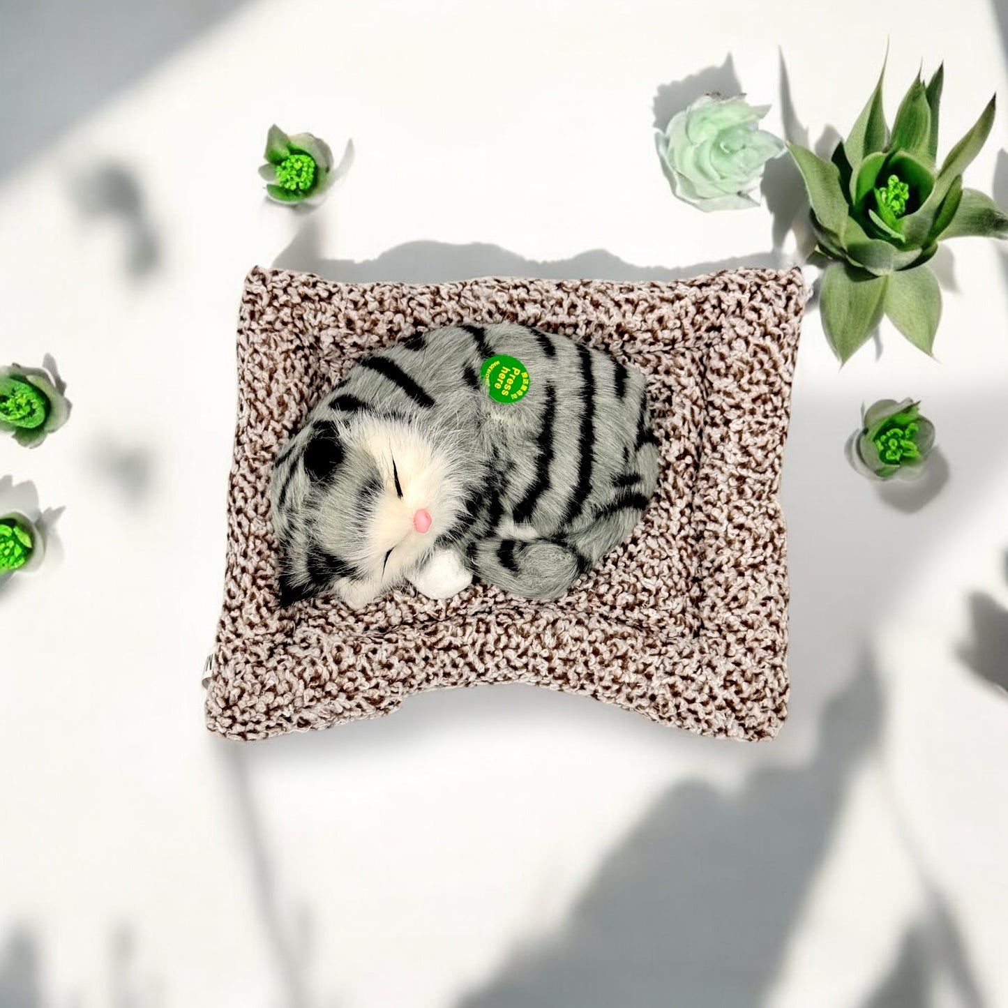 Cute Sleeping Cat Decor