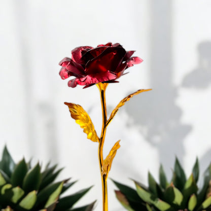 24K Rose