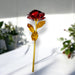 Outdoor Decor