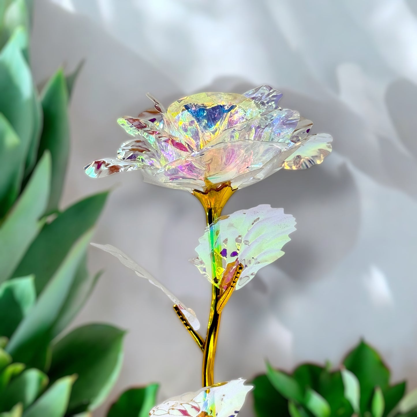 24K Rose