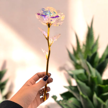 24K Rose