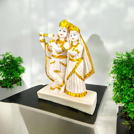 Elegant Krishna and Radha Idol Decor