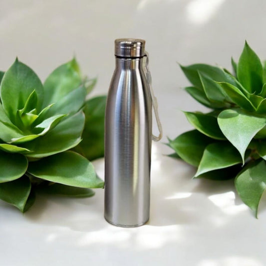 Stainless Steel Water Bottle 750ml
