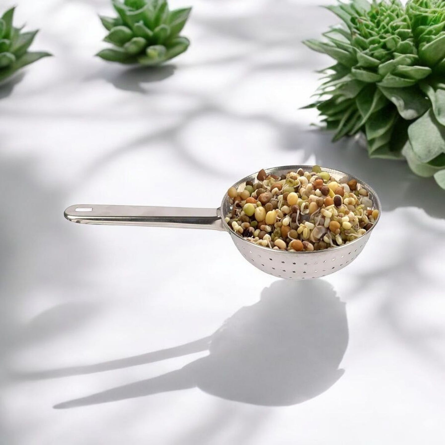 Stainless Steel Mesh Strainer Ladle