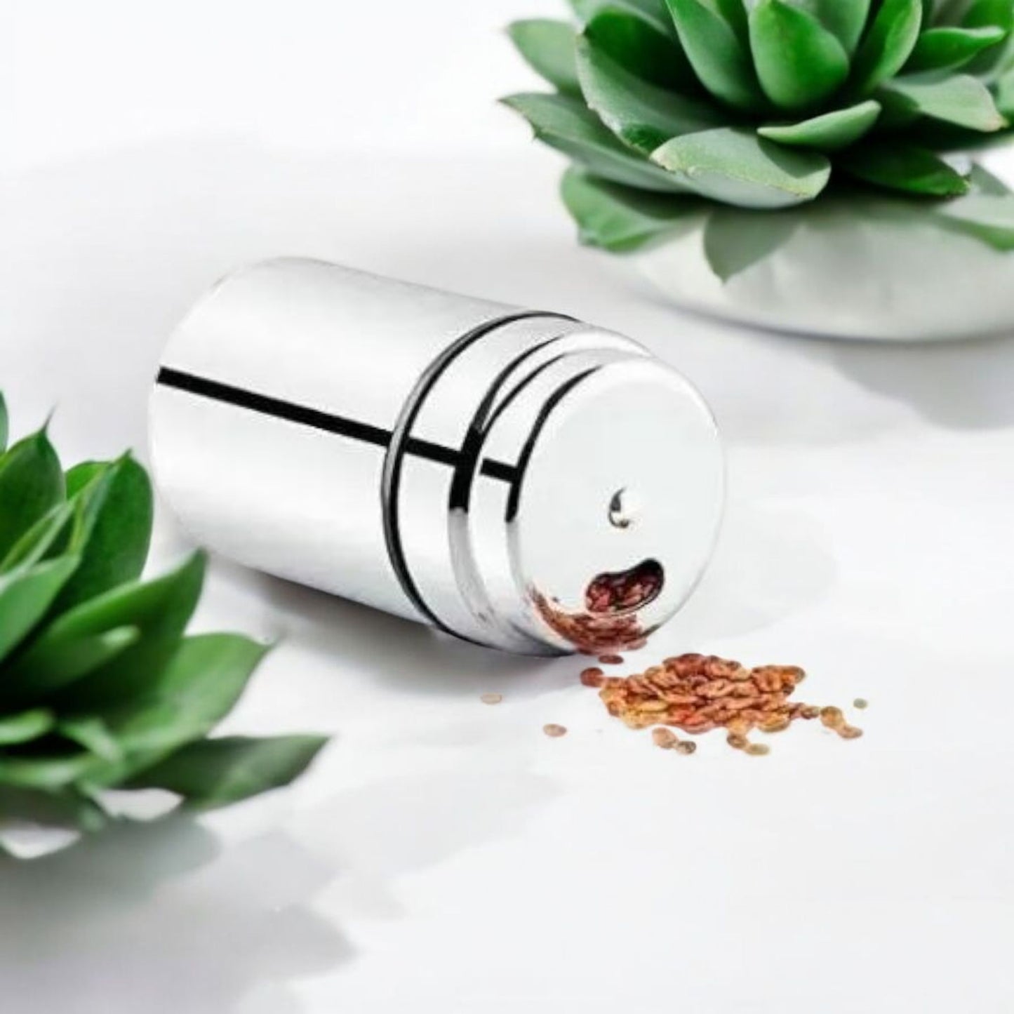 Stainless Steel Dual-Outlet Spice Dispenser