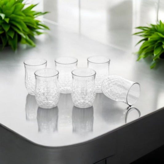 Glass Set( Set of 6 )