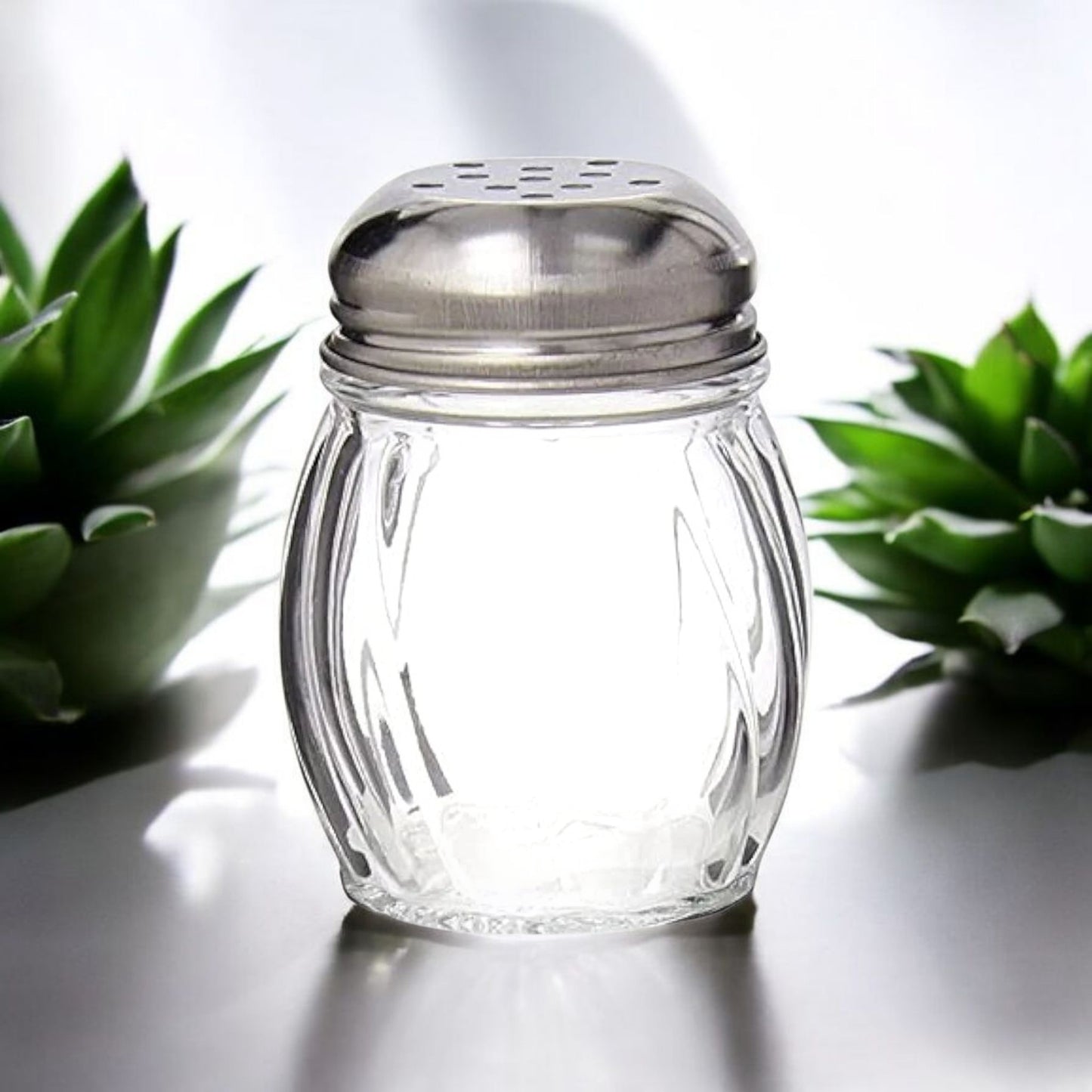 Glass Spice Shaker Set