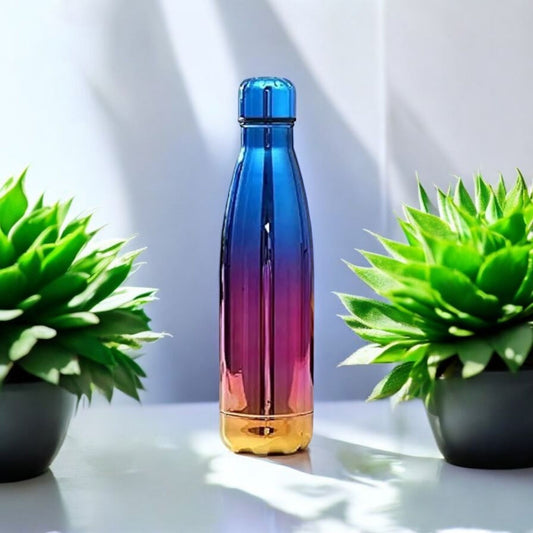 Luxury Gradient Stainless Steel Bottle 500ml