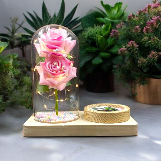 Enchanted LED Rose Dome